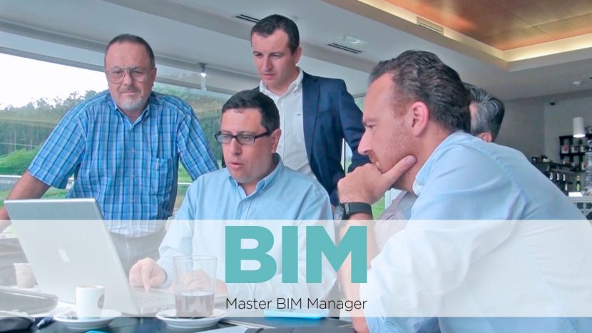 BIM Manager, BIM Coordinator, BIM Modeller